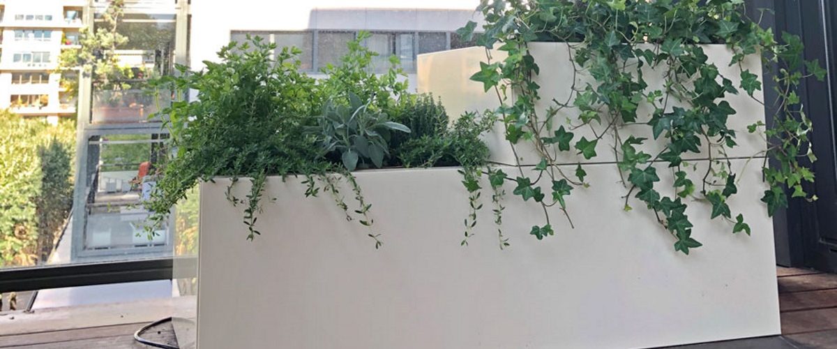 2 bacs jardinières accolés et superposés, réalisés en alu par MRBAC, pour la végétalisation d'un balcon avec plantes vertes, aromatiques et arbuste